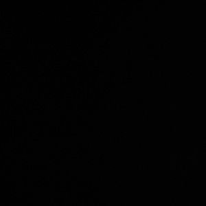 Meet your Posher, Audrey